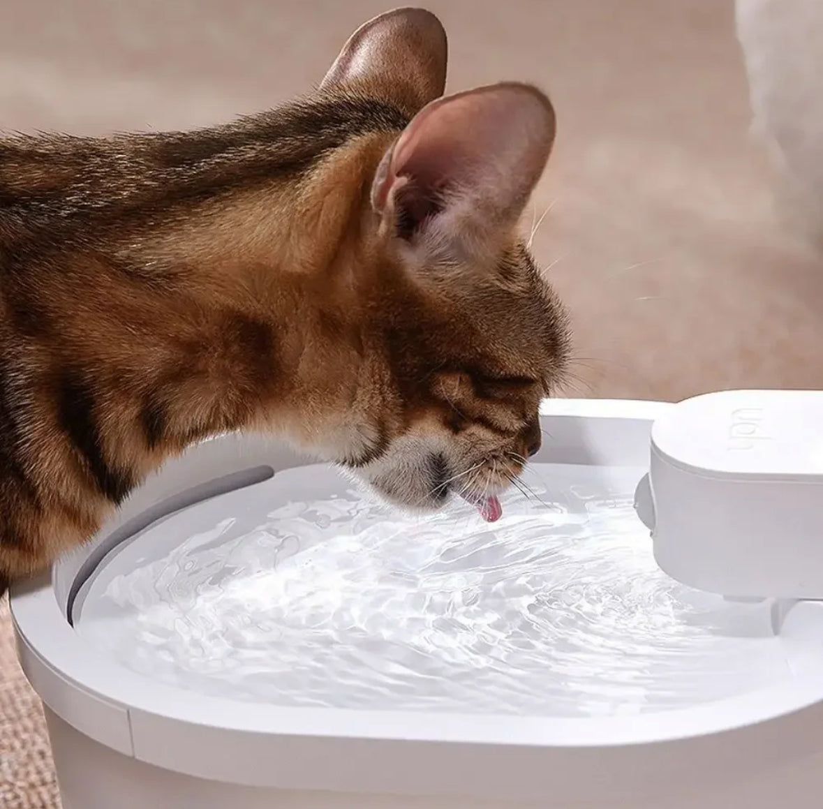 Akku betriebener Frischwasser Katzenbrunnen