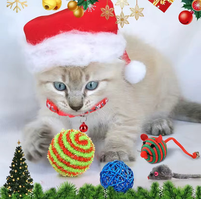 Tierischer Adventskalender für Haustiere